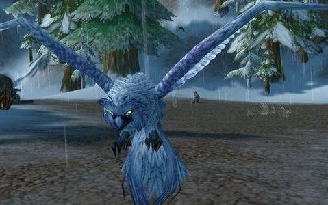 【魔兽世界x猎人宠物x百猎嶙峋系列074期】摘星尖啸者(猛禽)_哔哩哔哩